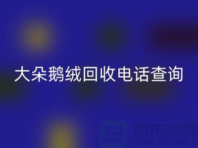 ### 日标羽绒彩神线上平台(集团)官方网站，大朵鹅绒彩神线上平台(集团)官方网站电话查询，南京鸭绒彩神线上平台(集团)官方网站公司