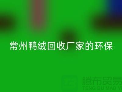 # 专业羽绒彩神线上平台(集团)官方网站：常州鸭绒彩神线上平台(集团)官方网站厂家的环保与价值之旅