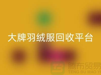 羽绒服焕新记：大牌彩神线上平台(集团)官方网站，温暖再续