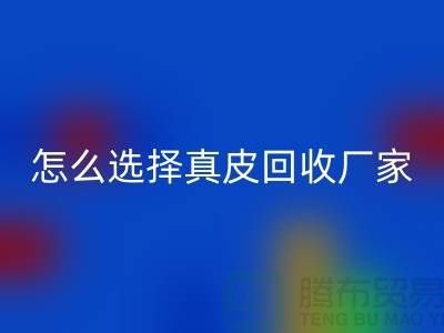 ####广州知名彩神线上平台(集团)官方网站库存皮革厂家推荐-怎么选择真皮彩神线上平台(集团)官方网站厂家