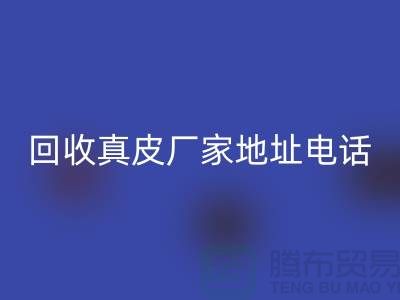 废旧皮革彩神线上平台(集团)官方网站对环境保护的重要意义-广州彩神线上平台(集团)官方网站真皮厂家地址