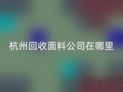 杭州彩神线上平台(集团)官方网站面料公司在哪里/选择好布料/杭州布料彩神线上平台(集团)官方网站厂家