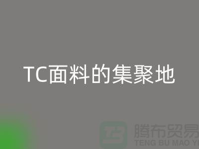 面料彩神线上平台(集团)官方网站厂家汇聚各种TC面料的集聚地全部在广州地区