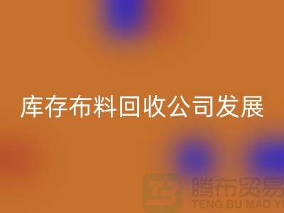 库存布料彩神线上平台(集团)官方网站公司发展前景如何-彩神线上平台(集团)官方网站库存布料厂家
