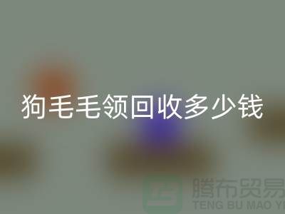 狗毛毛领彩神线上平台(集团)官方网站多少钱一条