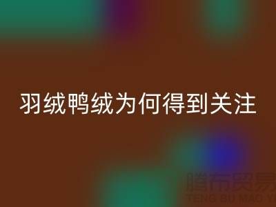 羽绒鸭绒彩神线上平台(集团)官方网站公司为何得到所有人关注_彩神线上平台(集团)官方网站