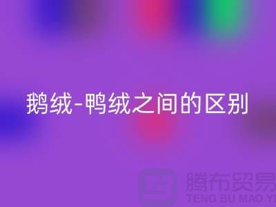 关于鹅绒-鸭绒之间的区别-鹅绒彩神线上平台(集团)官方网站-鸭绒彩神线上平台(集团)官方网站-羽绒彩神线上平台(集团)官方网站厂家