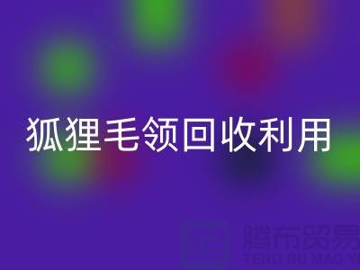 真毛彩神线上平台(集团)官方网站_毛领彩神线上平台(集团)官方网站_狐狸毛领彩神线上平台(集团)官方网站利用_彩神线上平台(集团)官方网站