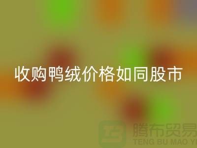 收购鸭绒价格如同股市一样飘泊不定-郑州库存鸭绒彩神线上平台(集团)官方网站厂家