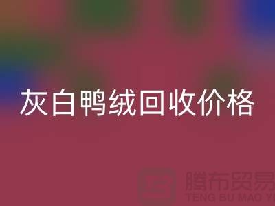 灰白鸭绒彩神线上平台(集团)官方网站价格：环保与时尚的完美结合-杭州羽绒彩神线上平台(集团)官方网站厂家