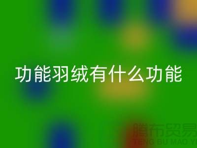 什么是功能羽绒-包含了什么功能-彩神线上平台(集团)官方网站库存羽绒-彩神线上平台(集团)官方网站库存鸭绒厂家