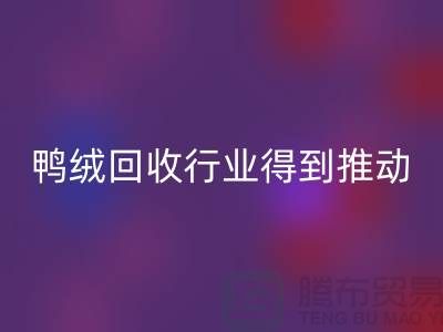 90鸭绒彩神线上平台(集团)官方网站行业2021年得到极大的推动_彩神线上平台(集团)官方网站