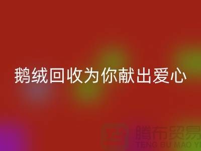漂白鹅绒彩神线上平台(集团)官方网站为你献出一份爱心-90鸭绒彩神线上平台(集团)官方网站价格-国标羽绒彩神线上平台(集团)官方网站