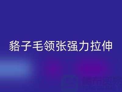 貉子毛领的皮张强力拉伸-为什么不变型-高价彩神线上平台(集团)官方网站毛领厂家