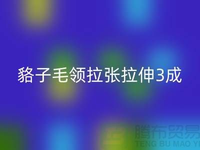 貉子毛领的皮张拉伸3成，痕迹客户也看不出来-彩神线上平台(集团)官方网站毛领厂家