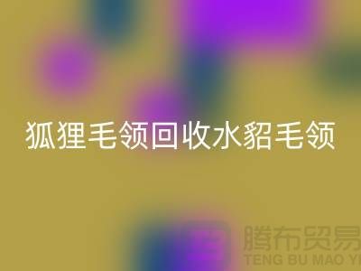 狐狸毛领彩神线上平台(集团)官方网站_水貂毛领彩神线上平台(集团)官方网站_大衣毛领彩神线上平台(集团)官方网站_彩神线上平台(集团)官方网站