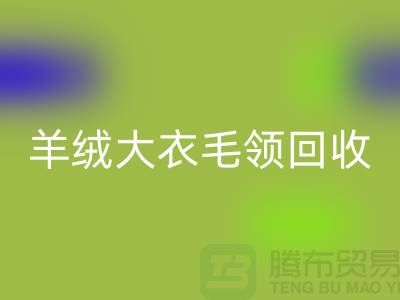 羊绒大衣毛领彩神线上平台(集团)官方网站_真皮狐狸毛领彩神线上平台(集团)官方网站_彩神线上平台(集团)官方网站
