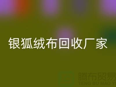 银狐绒布彩神线上平台(集团)官方网站厂家：让旧衣物焕发新生-服装面料彩神线上平台(集团)官方网站公司
