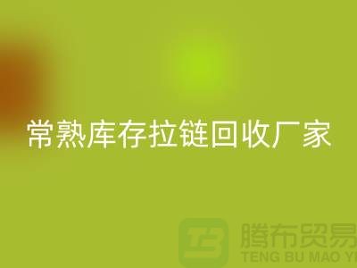 库存拉链彩神线上平台(集团)官方网站公司-库存拉链彩神线上平台(集团)官方网站价格-常熟库存拉链彩神线上平台(集团)官方网站厂家