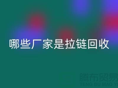 哪些厂家是拉链彩神线上平台(集团)官方网站的领导者-库存拉链彩神线上平台(集团)官方网站厂家排名榜