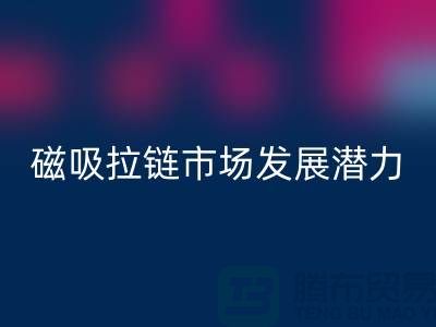 磁吸拉链市场发展潜力研究分析报告_上海拉链彩神线上平台(集团)官方网站公司