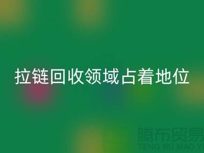 在拉链彩神线上平台(集团)官方网站领域占据着重要地位_ykk拉链彩神线上平台(集团)官方网站公司