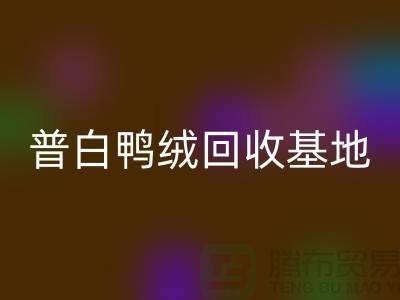 普白鸭绒彩神线上平台(集团)官方网站基地：环保与经济的完美结合-纯白鹅绒彩神线上平台(集团)官方网站厂家