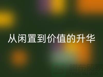 羽绒服彩神线上平台(集团)官方网站：从闲置到价值的升华之路