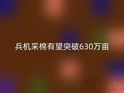 兵团机采棉有望突破630万亩占播种面积七成-库存棉纱彩神线上平台(集团)官方网站厂家
