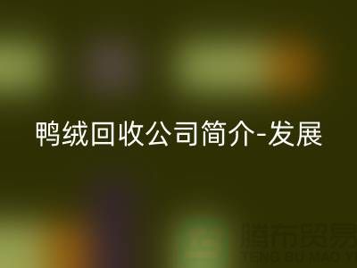 鸭绒彩神线上平台(集团)官方网站公司简介-发展背景-业务范围-技术优势-鹅绒彩神线上平台(集团)官方网站厂家