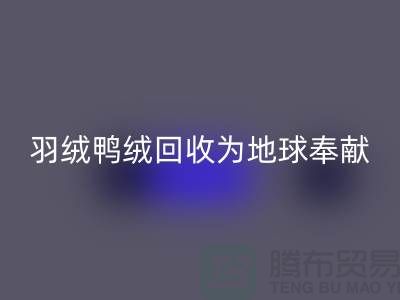 羽绒鸭绒彩神线上平台(集团)官方网站为地球献出一份爱心，让温暖传递-羽绒彩神线上平台(集团)官方网站厂家