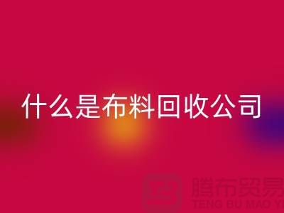 什么是布料彩神线上平台(集团)官方网站公司？厂家与市场之间的关系-上海面料彩神线上平台(集团)官方网站行情