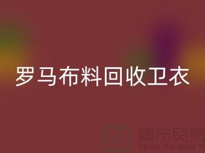 罗马布料彩神线上平台(集团)官方网站-卫衣面料彩神线上平台(集团)官方网站-毛圈布料彩神线上平台(集团)官方网站-上海彩神线上平台(集团)官方网站布料辅料公司
