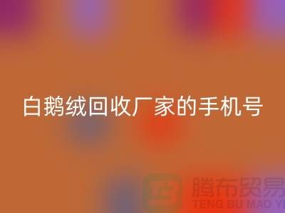 羽绒彩神线上平台(集团)官方网站基地的位置，鸭绒彩神线上平台(集团)官方网站行情报价，以及白鹅绒彩神线上平台(集团)官方网站厂家的手机号