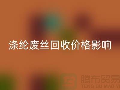 涤纶废丝彩神线上平台(集团)官方网站价格影响因素及行业前景展望-江苏废丝彩神线上平台(集团)官方网站厂家