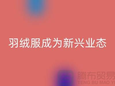 彩神线上平台(集团)官方网站库存羽绒服成为新兴业态-库存羽绒服收购价格以及地址