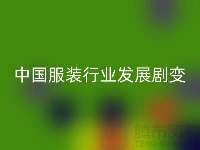 中国服装行业发展剧变-成败重要途径-上海库存服装彩神线上平台(集团)官方网站公司