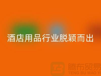 如何在酒店用品彩神线上平台(集团)官方网站行业中脱颖而出-上海二手毛巾彩神线上平台(集团)官方网站公司