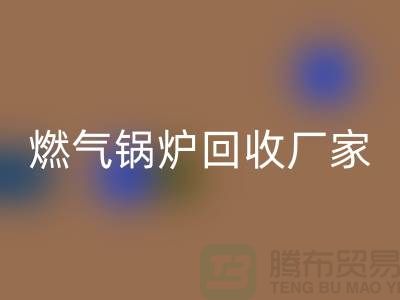燃气锅炉彩神线上平台(集团)官方网站厂家：做到了企业环保更完美-大型锅炉彩神线上平台(集团)官方网站