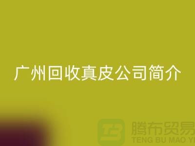 真皮彩神线上平台(集团)官方网站厂家介绍-市场价格浮动不定-广州彩神线上平台(集团)官方网站真皮公司简介
