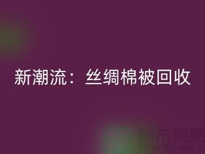 环保新潮流：丝绸棉被彩神线上平台(集团)官方网站，价格让您惊喜连连！