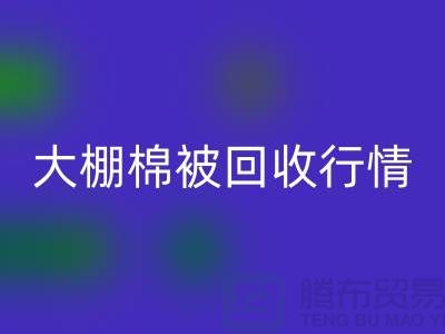 大棚棉被彩神线上平台(集团)官方网站平台的最佳价格大揭秘，省时省力