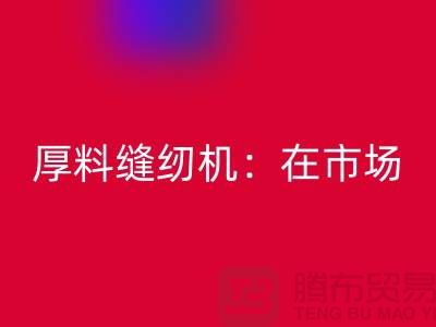 厚料缝纫机：在市场上的细节体现-上海彩神线上平台(集团)官方网站缝纫机厂家