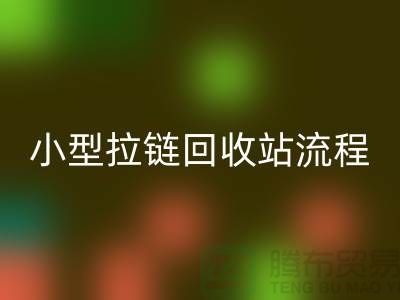 个人拾荒者与小型拉链彩神线上平台(集团)官方网站站的具体流程及利润点