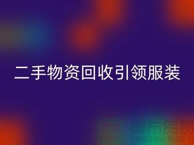 二手物资彩神线上平台(集团)官方网站引领服装行业发展_彩神线上平台(集团)官方网站