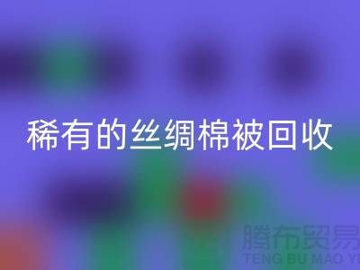 稀有丝绸棉被彩神线上平台(集团)官方网站，价格疯狂下降中！快来抢购！