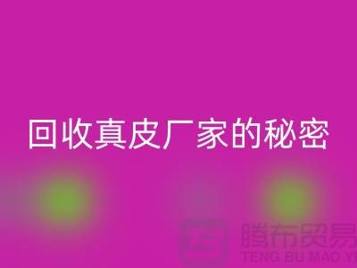 彩神线上平台(集团)官方网站真皮厂家的秘密：打造环保时尚的循环经济