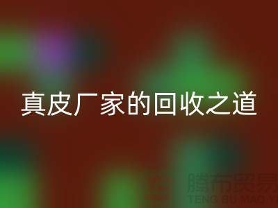 探寻真皮厂家的彩神线上平台(集团)官方网站之道：打造环保时尚新潮流