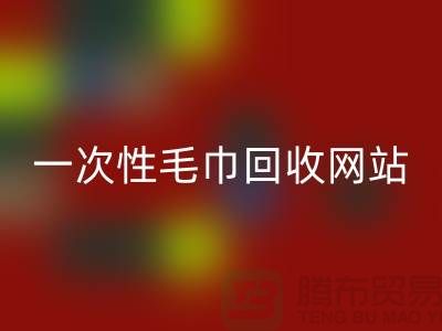 一次性毛巾彩神线上平台(集团)官方网站网站有哪些？——上海酒店用品彩神线上平台(集团)官方网站公司