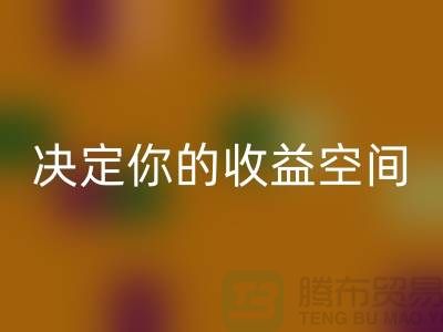 库存服装彩神线上平台(集团)官方网站价格如何影响利润？这4个关键因素决定你的收益空间
